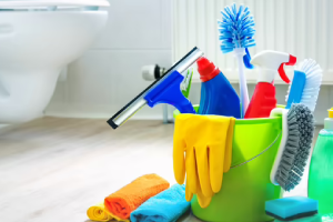 Messie Reinigung Lünen