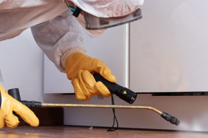 Messie Schädlingsbekämpfung Lünen